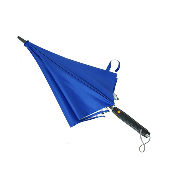 Fan Umbrella